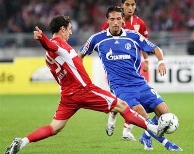 专家都聚焦 专家都聚焦